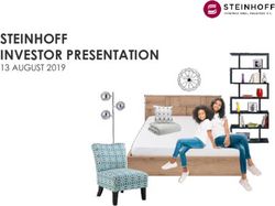 STEINHOFF INVESTOR PRESENTATION - 13 AUGUST 2019 - Steinhoff International