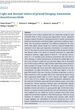 Light and thermal niches of ground-foraging Amazonian insectivorous birds