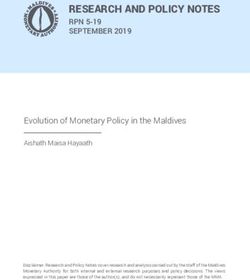 Evolution of Monetary Policy in the Maldives - RESEARCH ...