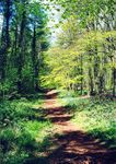RIGHTS OF WAY IMPROVEMENT PLAN (ROWIP) 2020-30