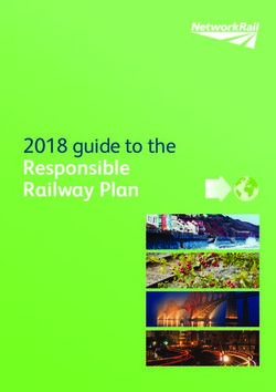 Responsible Railway Plan - 2018 guide to the - Safety Central Network ...