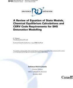 A Review of Equation of State Models, Chemical Equilibrium Calculations and CERV Code Requirements for SHS Detonation Modelling