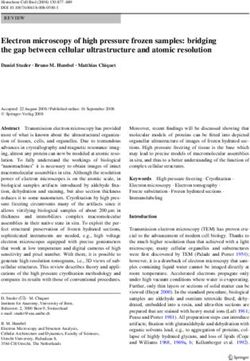 Electron microscopy of high pressure frozen samples: bridging the gap between cellular ultrastructure and atomic resolution