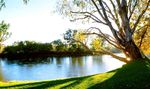 Sustainable Communities Tidy Towns Awards 2020 - Thank you to our awards supporters - Keep ...