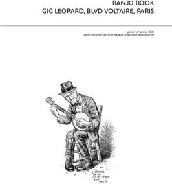 BANJO BOOK GIG LEOPARD, BLVD VOLTAIRE, PARIS - Pablo Pernot