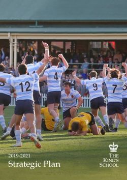 Strategic Plan 2019-2021 - The King's School