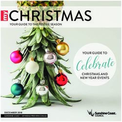 CHRISTMAS - CHRISTMAS AND NEW YEAR EVENTS - Ocean View Caravan ...