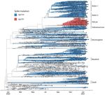 COVID-19 Response ECHO for Oregon Clinicians Session 4 February 18, 2021
