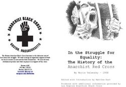 In the Struggle for The History of the - Anarchist Red Cross