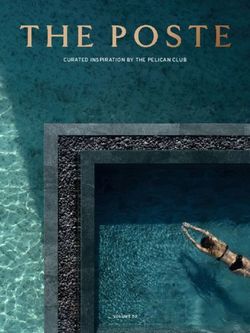 CURATED INSPIRATION BY THE PELICAN CLUB - Webflow