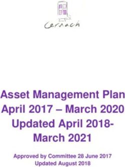 Asset Management Plan April 2017 - March 2020 Updated April 2018- March 2021 - Approved by Committee 28 June 2017 Updated August 2018