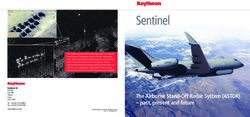 Sentinel - Raytheon Technologies