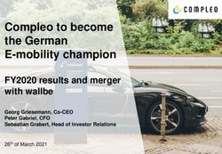 Compleo to become the German E-mobility champion - FY2020 results and merger with wallbe
