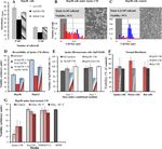 Pronounced cancer resistance in a subterranean rodent, the blind mole-rat, Spalax: in vivo and in vitro evidence - Manov et al.