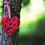 Caregiver Centered Care - Connecting Regulation to Practice Mandatory Module on Restricted Activities - College of ...