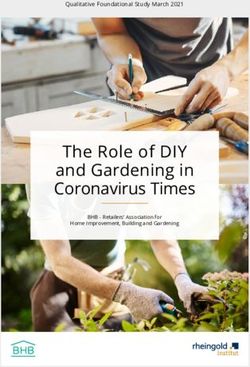 The Role of DIY and Gardening in Coronavirus Times - Qualitative Foundational Study March 2021 - BHB