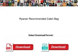 Ryanair Recommended Cabin Bag