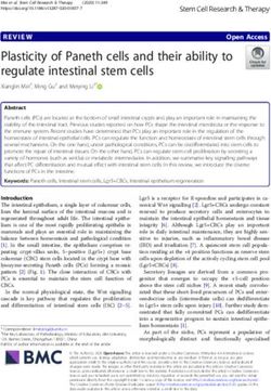 Plasticity of Paneth cells and their ability to regulate intestinal stem cells - Stem Cell Research & Therapy