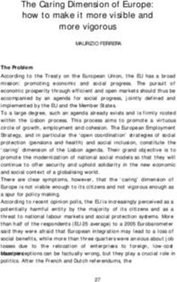 The Caring Dimension of Europe: how to make it more visible and more vigorous