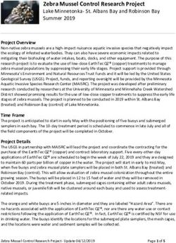 Zebra Mussel Control Research Project - Lake Minnetonka- St. Albans Bay and Robinson Bay Summer 2019 - Lake Minnetonka ...