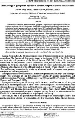 Haematology of gynogenetic diploids of Siberian sturgeon Acipenser baerii Brandt