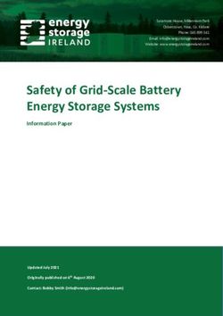Safety of Grid-Scale Battery Energy Storage Systems