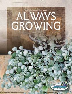 ALWAYS GROWING - Micandy Gardens