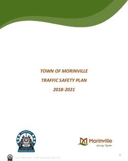 TOWN OF MORINVILLE TRAFFIC SAFETY PLAN 2018-2021