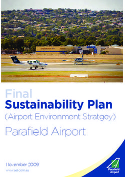 Final Sustainability Plan (Airport Environment Stratgey) - November 2009