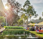 INTERNATIONAL UNDERGRADUATE COURSE GUIDE 2022 - MONASH UNIVERSITY