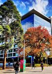 INTERNATIONAL UNDERGRADUATE COURSE GUIDE 2022 - MONASH UNIVERSITY