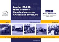 COUNTER IED/EOD MINES CLEARANCE HOMELAND PROTECTION AVIATION AND PRIVATE JETS - HISKY