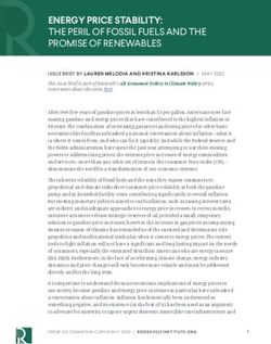 ENERGY PRICE STABILITY: THE PERIL OF FOSSIL FUELS AND THE PROMISE OF RENEWABLES