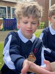 RECEPTION WEEKLY LETTER - New Beacon School