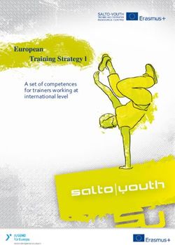 European Training Strategy l - A set of competences for trainers working at international level - Salto Youth