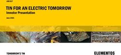TIN FOR AN ELECTRIC TOMORROW - Investor Presentation June 2021 ASX:ELT
