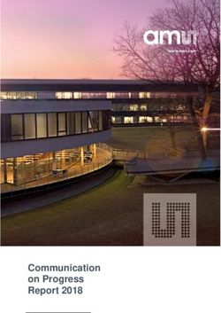 Communication on Progress Report 2018 - ams AG