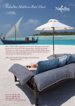 Naladhu Maldives Fact Sheet