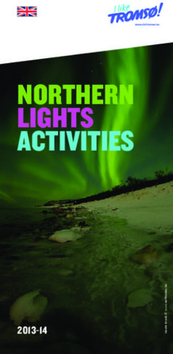 NORTHERN LIGHTS ACTIVITIES