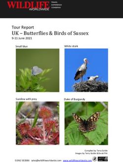 UK - Butterflies & Birds of Sussex - Tour Report White stork - Wildlife Worldwide