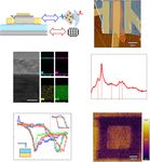 Two-dimensional ferroelectric channel transistors integrating ultra-fast memory and neural computing