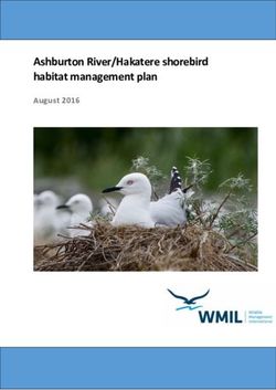 Ashburton River/Hakatere shorebird habitat management plan - August 2016 - BRaid