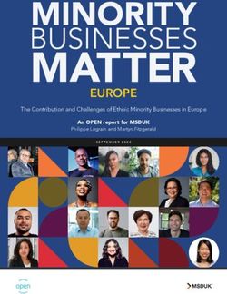 An OPEN report for MSDUK - The Contribution and Challenges of Ethnic Minority Businesses in Europe - Open Political Economy Network