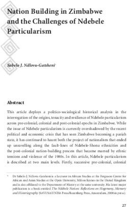 Nation Building in Zimbabwe and the Challenges of Ndebele Particularism