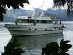 Queen Charlotte Walk/Cruise - Living the Experience!