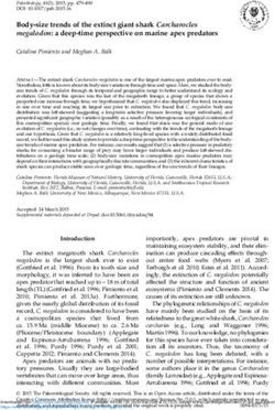 Body-size trends of the extinct giant shark Carcharocles megalodon: a deep-time perspective on marine apex predators
