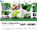Improving Hombli's ability to innovate by Design - MSc Thesis Strategic Product Design Sven Bonte 4362144 - TU Delft ...