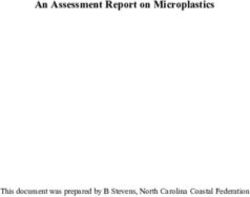 An Assessment Report on Microplastics - This document was prepared by B Stevens, North Carolina Coastal Federation - North Carolina Coastal ...