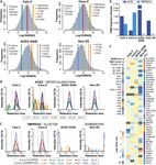 DATA, REAGENTS, ASSAYS AND MERITS OF PROTEOMICS FOR SARS-COV-2 RESEARCH AND TESTING - MEDIATUM