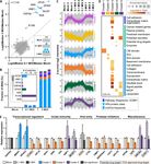DATA, REAGENTS, ASSAYS AND MERITS OF PROTEOMICS FOR SARS-COV-2 RESEARCH AND TESTING - MEDIATUM